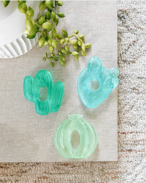 Cutie Coolers - Cactus Teether